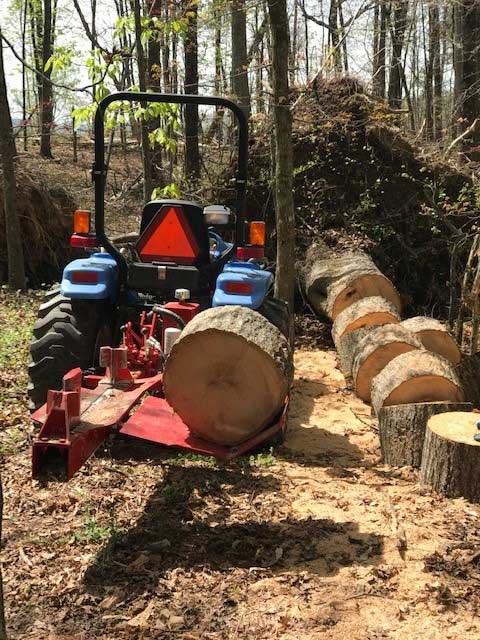 Image #1 from Terry Finley - Campobello, SC