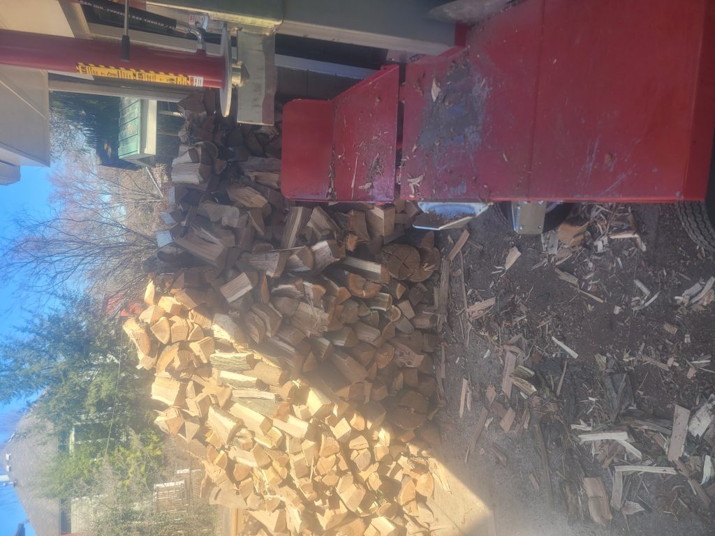 Image #1 from Richard Stein