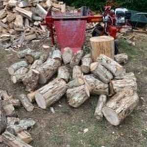 gas powered log splitter